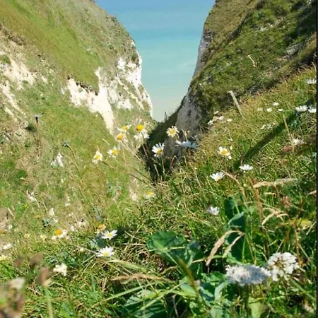 Mobil 4 Personnes En Bord De - Les Goelands Dom wakacyjny Petit-Caux