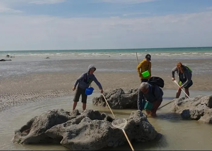 Mobil 4 Personnes En Bord De - Les Goelands Casa vacanze Petit-Caux