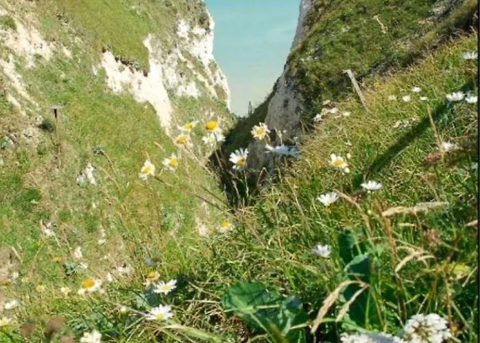 Mobil 4 Personnes En Bord De - Les Goelands Casa vacanze Petit-Caux